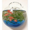 Glass Fighting Fish Tank for Home Decor