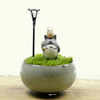 Mini Round Juicy Plants Flowers Vase